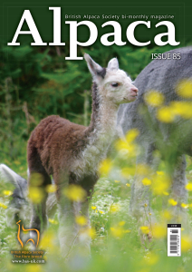 Alpaca Magazine Issue 85