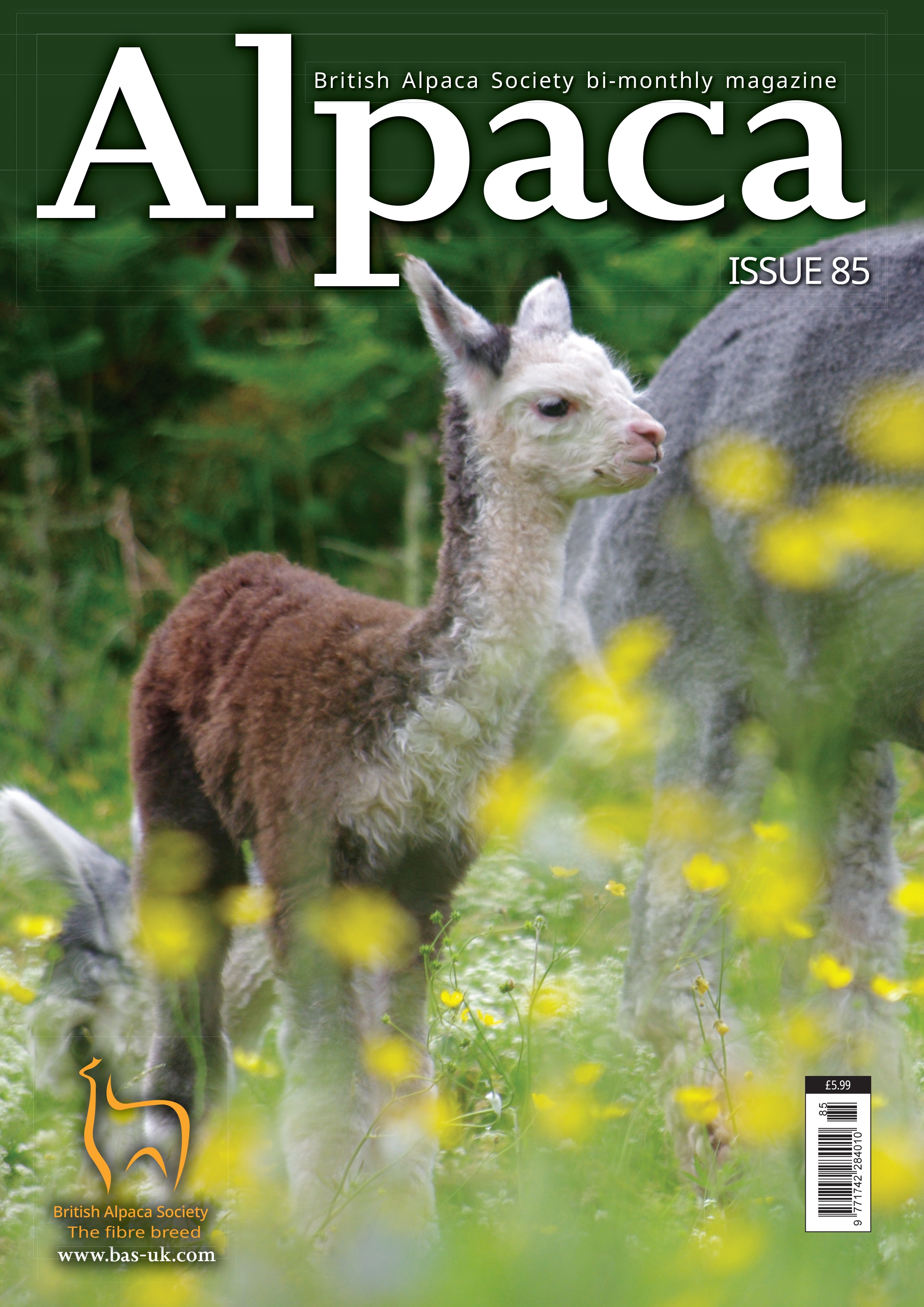Alpaca Magazine Issue 85