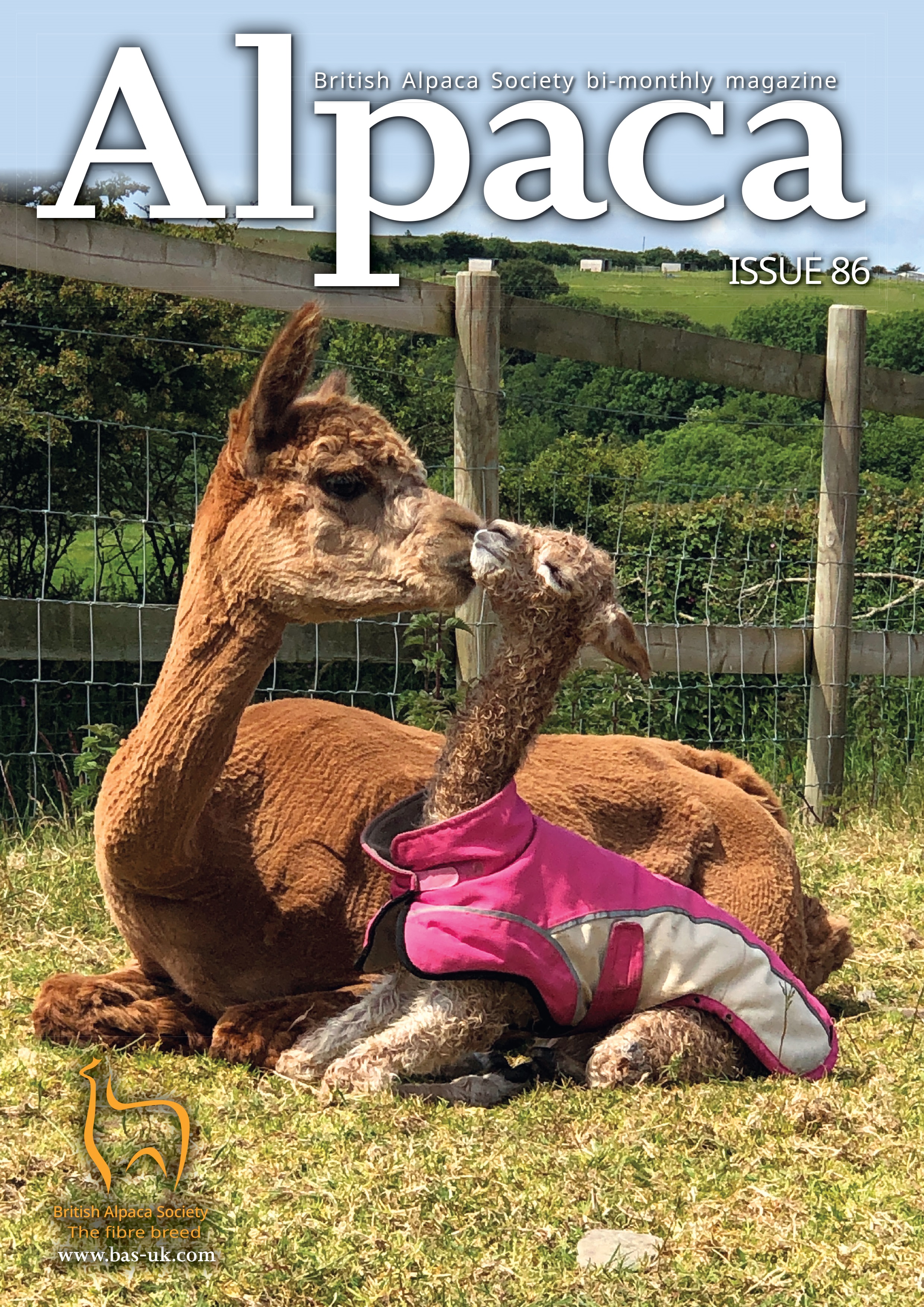 Alpaca Magazine Issue 86