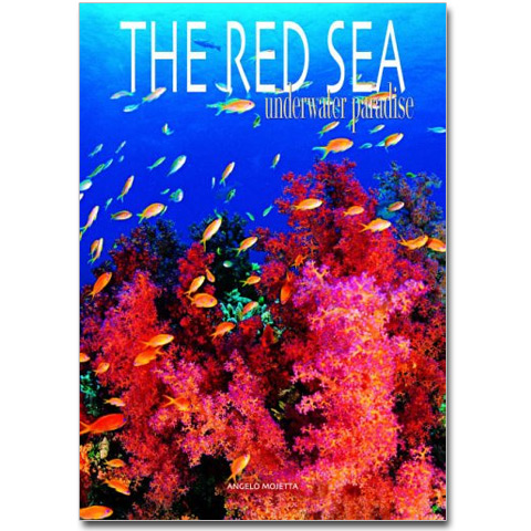 The Red Sea - Underwater Paradise