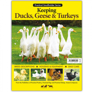 Practical Smallholder Series: Keeping Ducks, Geese & Turkeys