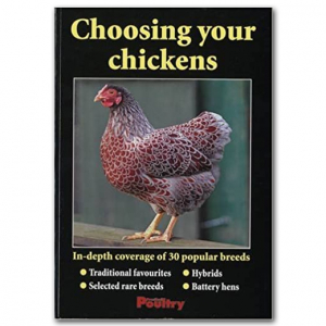 Choosing Your Chickens