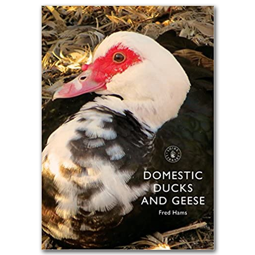 Domestic Ducks and Geese