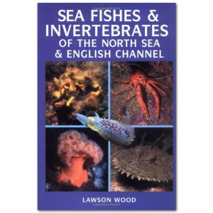 Sea Fishes & Invertebrates of The North Sea