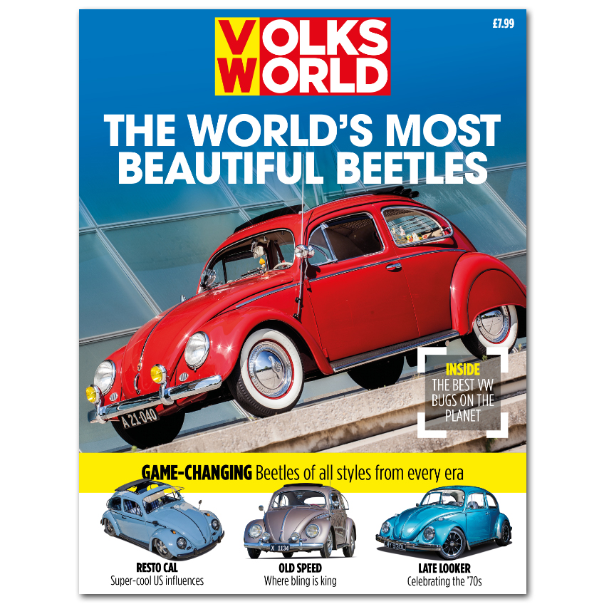 World's Most Beautiful Beetles Bookazine