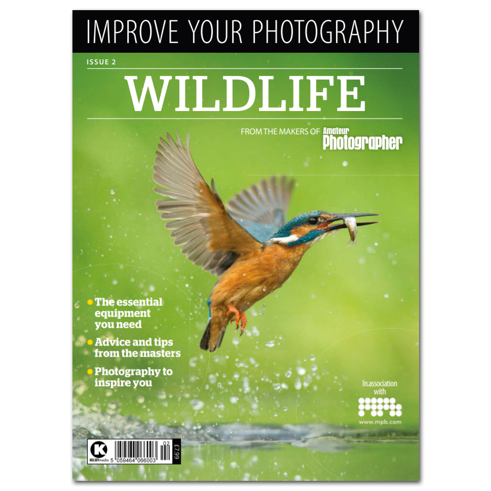 Improve Your Photography #2 Wildlife