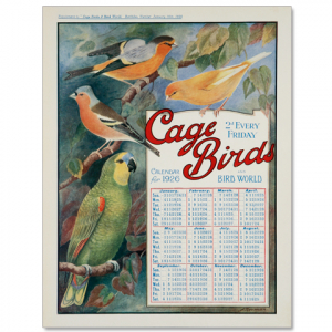 Art Print #21 - 1926 Calendar
