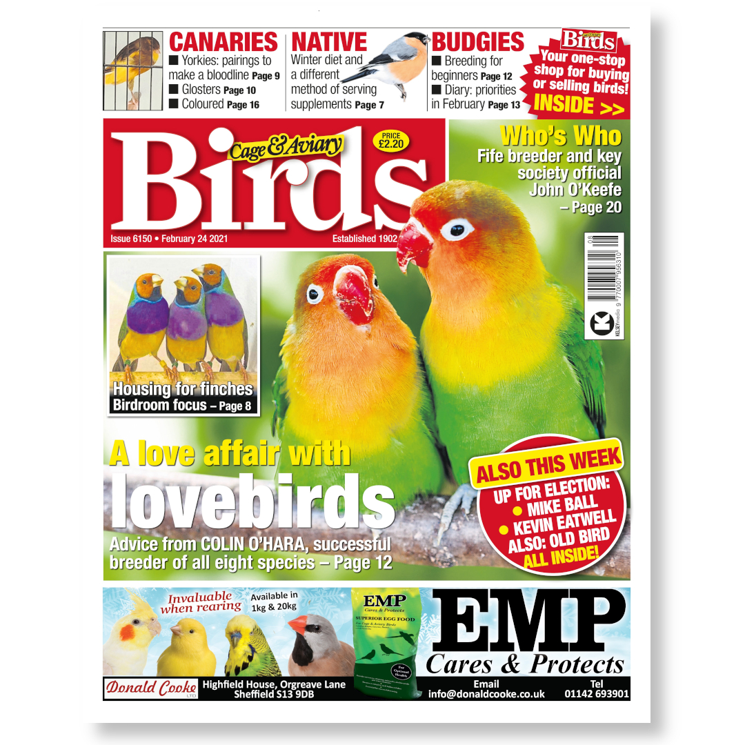 Cage and Aviary Birds #6150 February 24, 2021