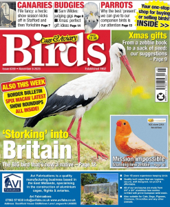 Cage and Aviary Birds #6289 November 8 2023