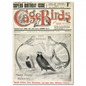 Art Print #42 - 1920 Birthday Issue