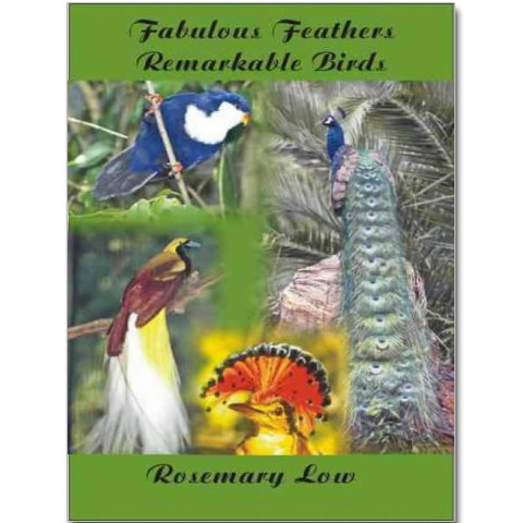 Fabulous Feathers Remarkable Birds