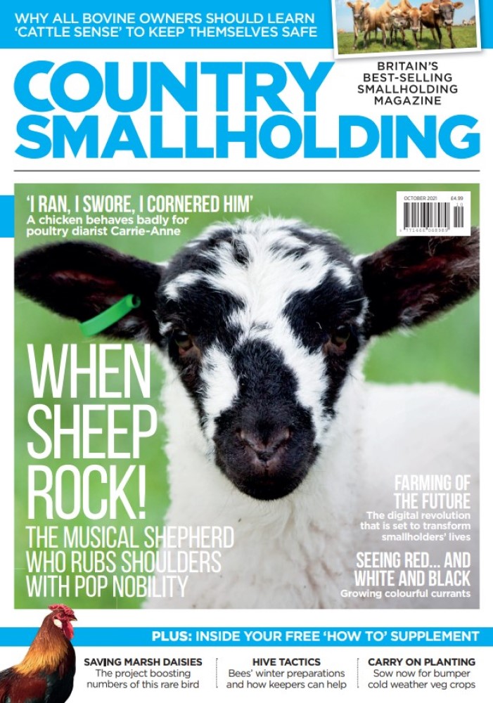 Country Smallholding October 2021