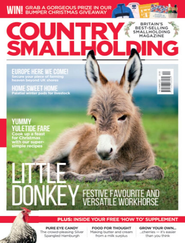 Country Smallholding December 2021