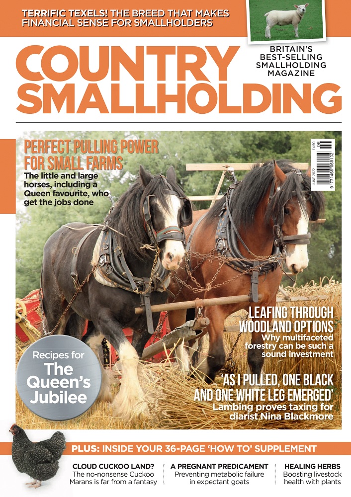 Country Smallholding June 2022