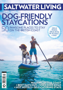 #7 Dog-Friendly Staycations