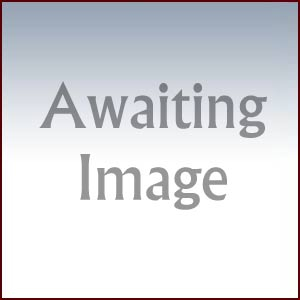 Motor Vehicle Crash Data