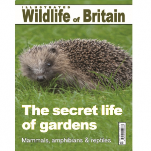 Illustrated Wildlife of Britain - Issue 1