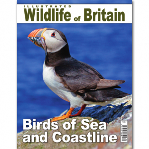 Illustrated Wildlife of Britain - Issue 6
