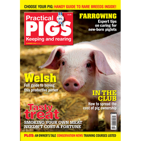 Practical Pigs Summer 2012