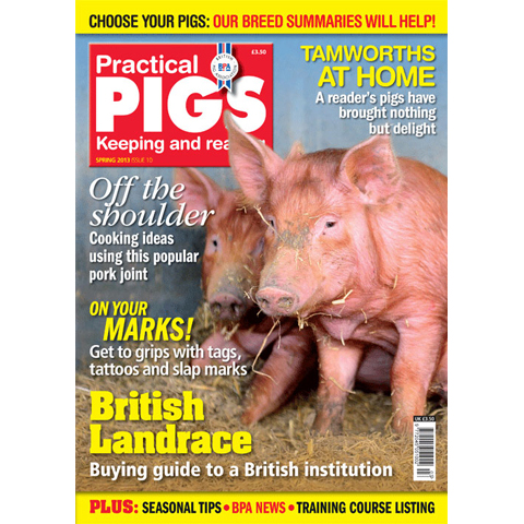 Practical Pigs Spring 2013