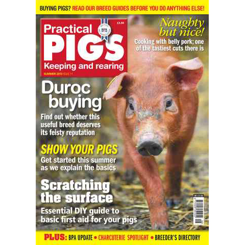 Practical Pigs Summer 2013