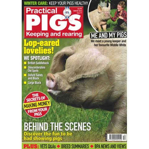 Practical Pigs Winter 2014