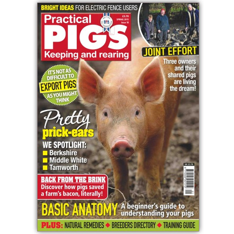 Practical Pigs Spring 2015