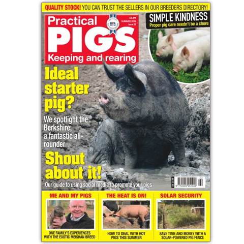 Practical Pigs Summer 2016