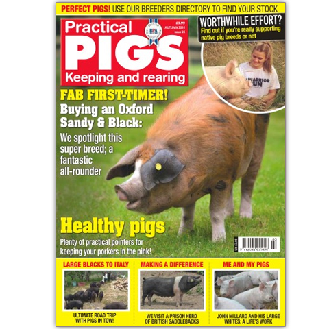 Practical Pigs Autumn 2016