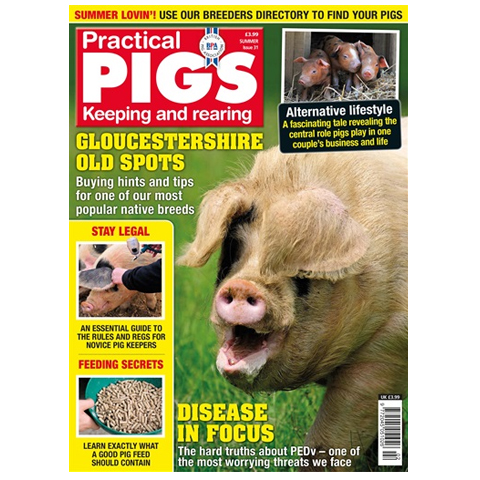 Practical Pigs Summer 2018