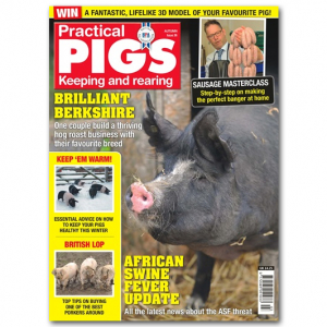 Practical Pigs Autumn 2019