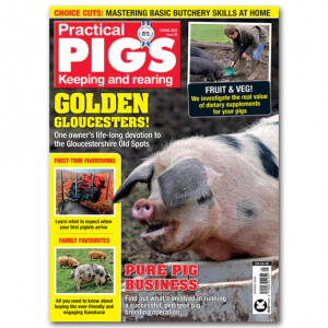 Practical Pigs Spring 2020