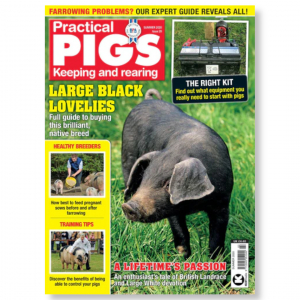 Practical Pigs Summer 2020