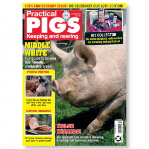 Practical Pigs Autumn 2020