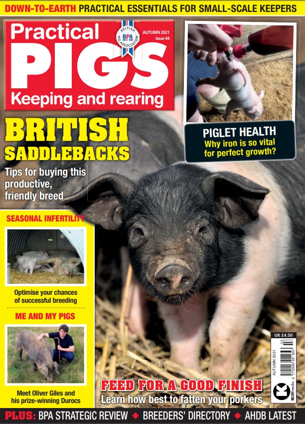 Practical Pigs Autumn 2021