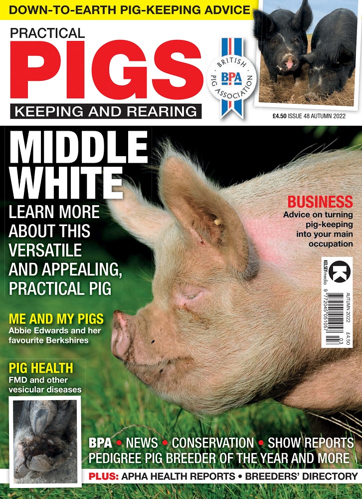 Practical Pigs Autumn 2022