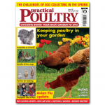 Practical Poultry