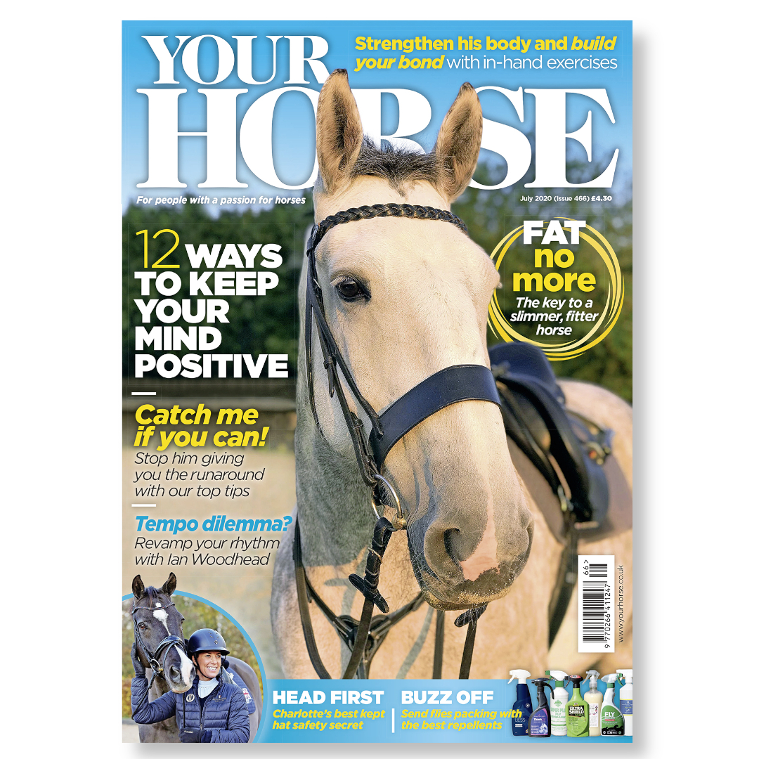 Your Horse July 2020 #466