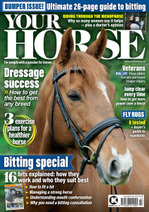 Your Horse YHR493