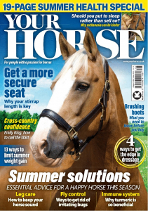 Your Horse YHR494